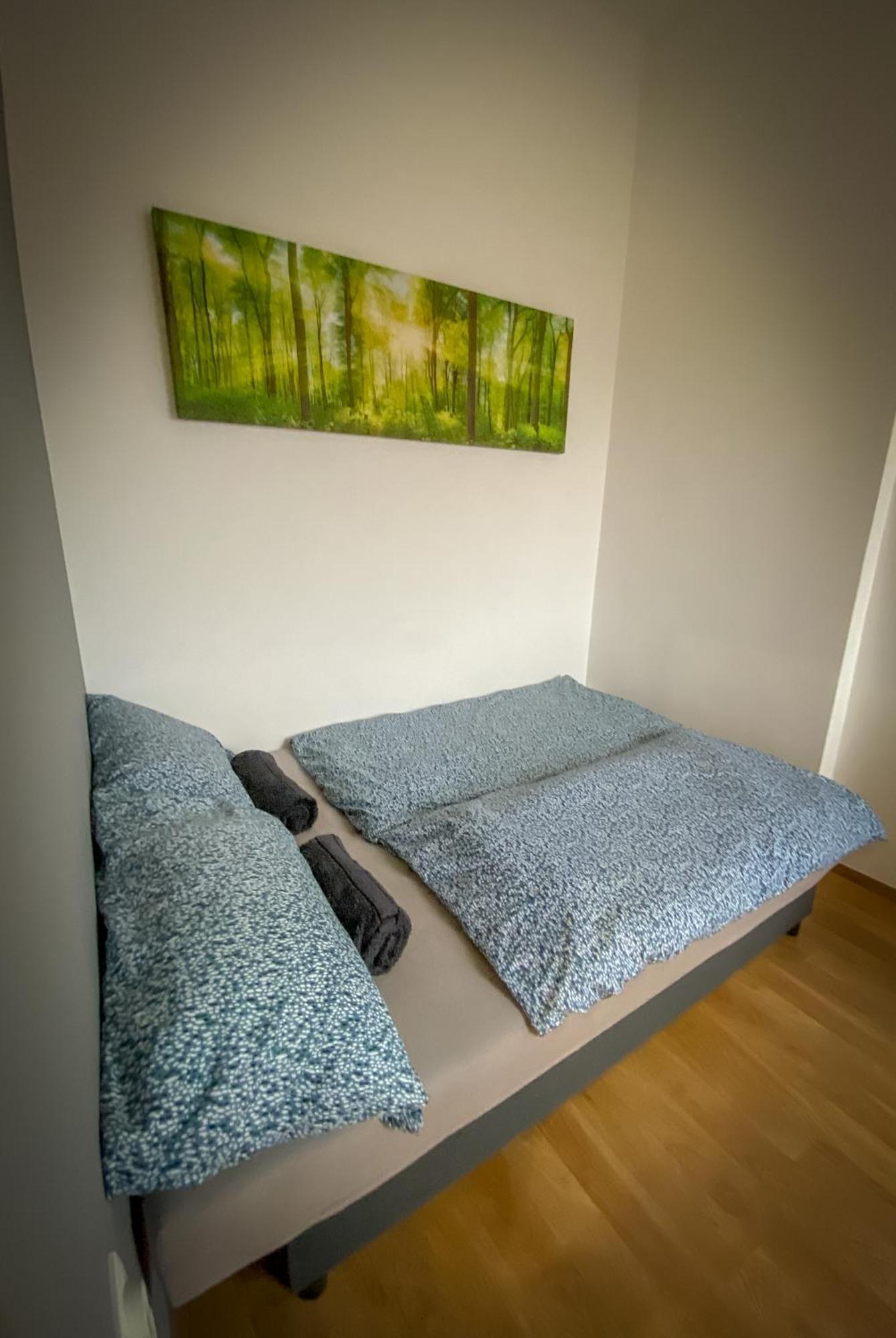Lovely Central Apartment With Free Parking, Koezponthoz Koezeli 3 Szobas Lakas 杰尔 外观 照片